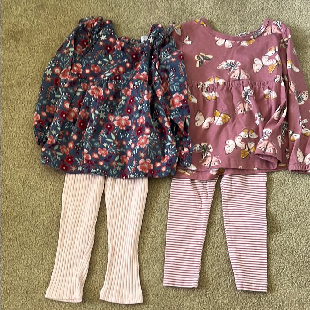 Floral and Butterfly Toddler Outfits with Striped Leggings 2t